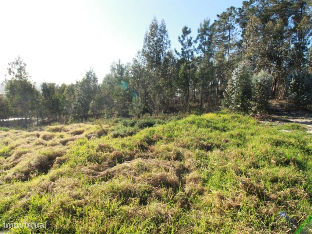 Lote de terreno com projeto aprovado - Grande imagem: 2/14