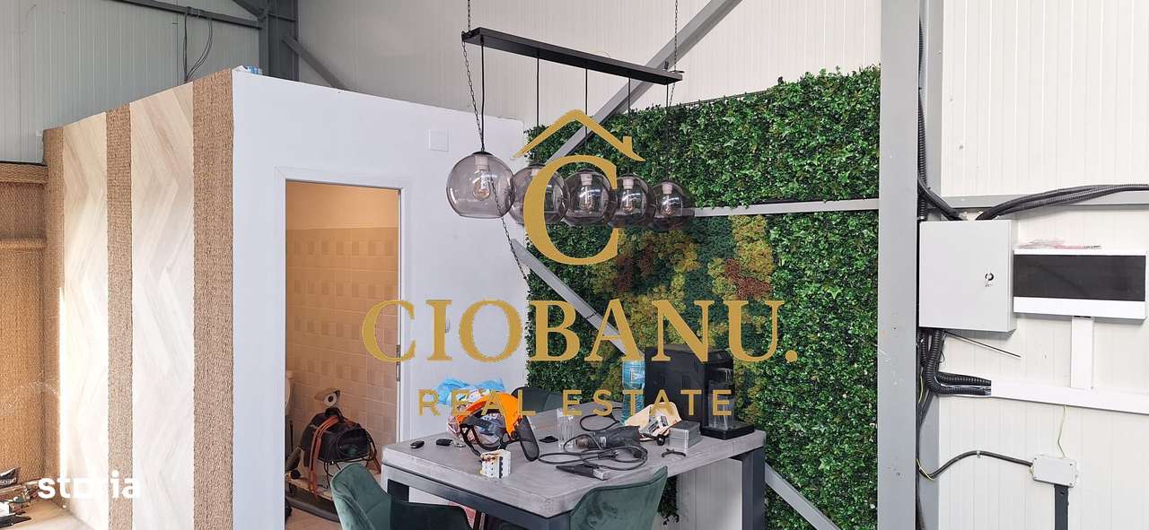 Hala de vanzare in Racarii de Jos-7