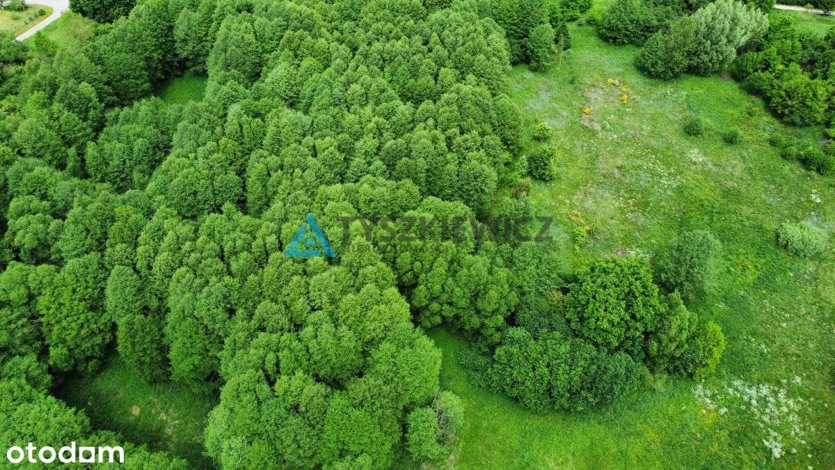 Atrakcyjna działka rolna w malowniczej okolicy - Pełny obrazek: 4/9