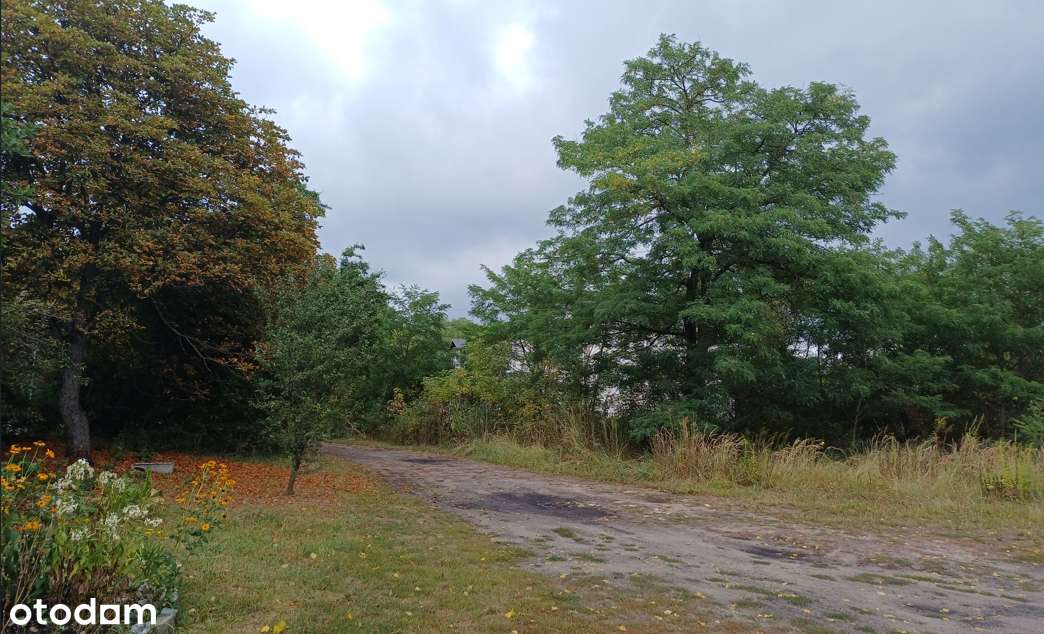 Sosnowiec-Maczki ul. Krakowska , dz. nr 792/78
