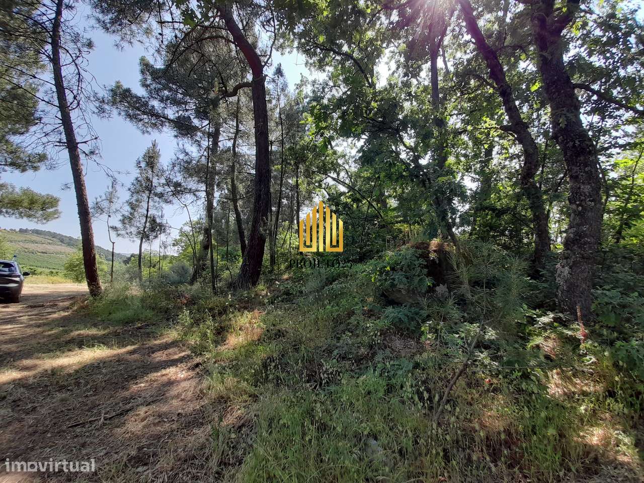 Terreno único com 21.500 m² Zona Vinhateira - Projeto Turístico-31