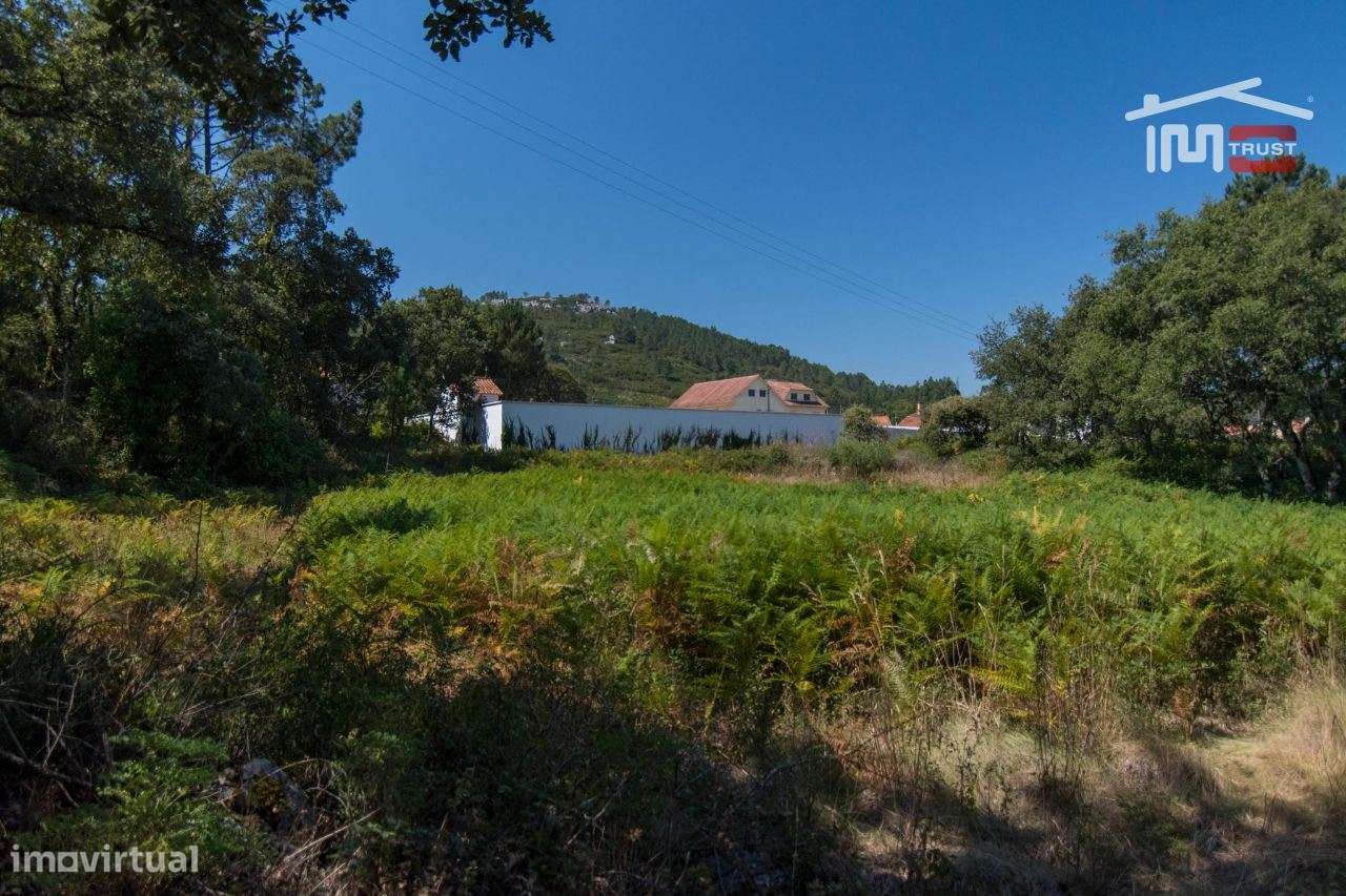 TERRENO RÚSTICO COM 1110 M2 PARA CULTIVO - Grande imagem: 3/3