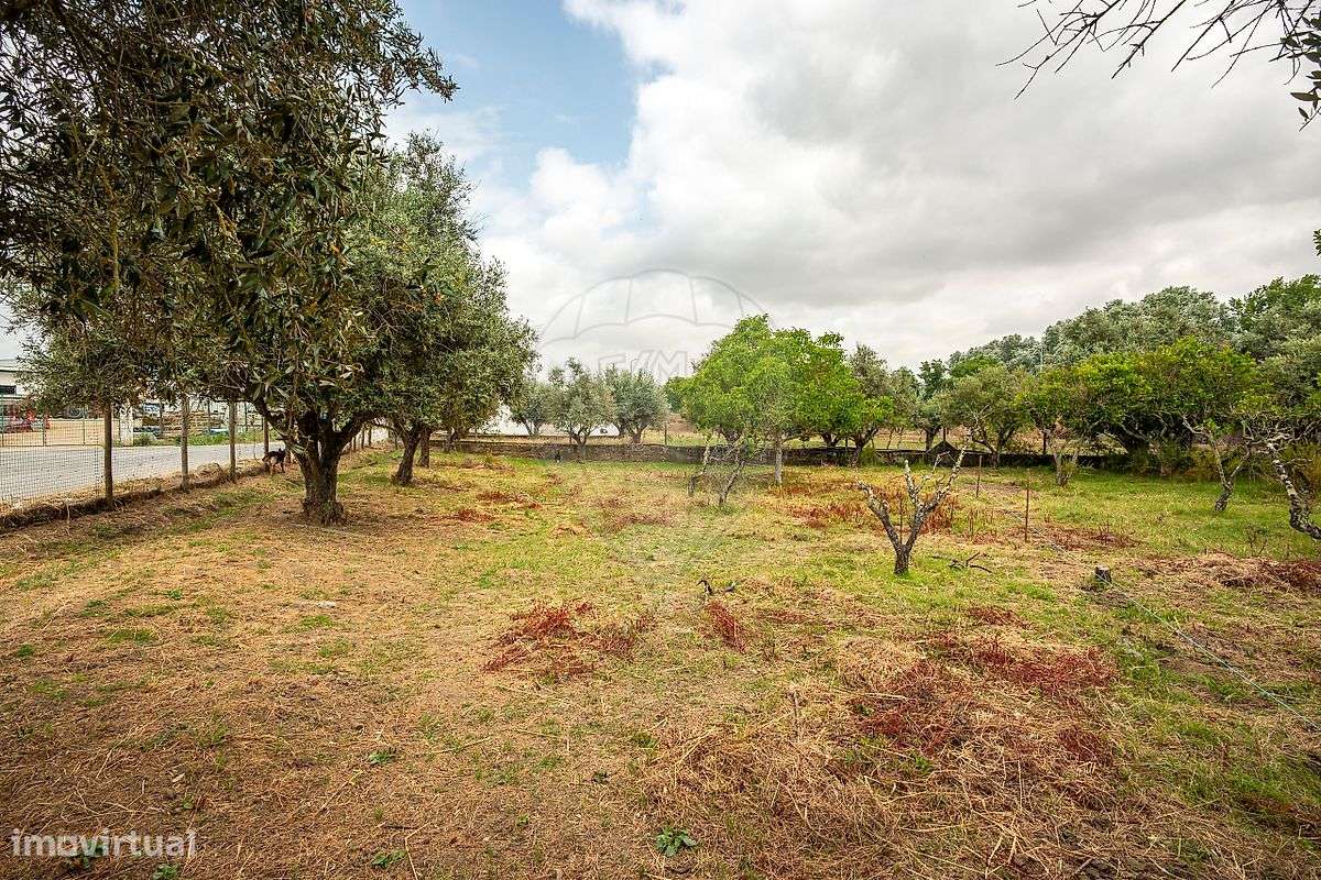 Terreno  para venda - Grande imagem: 3/11