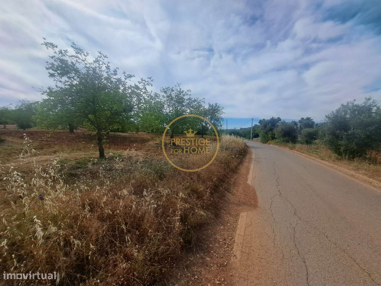 Terreno, 9 280 m², Paderne - Grande imagem: 5/14