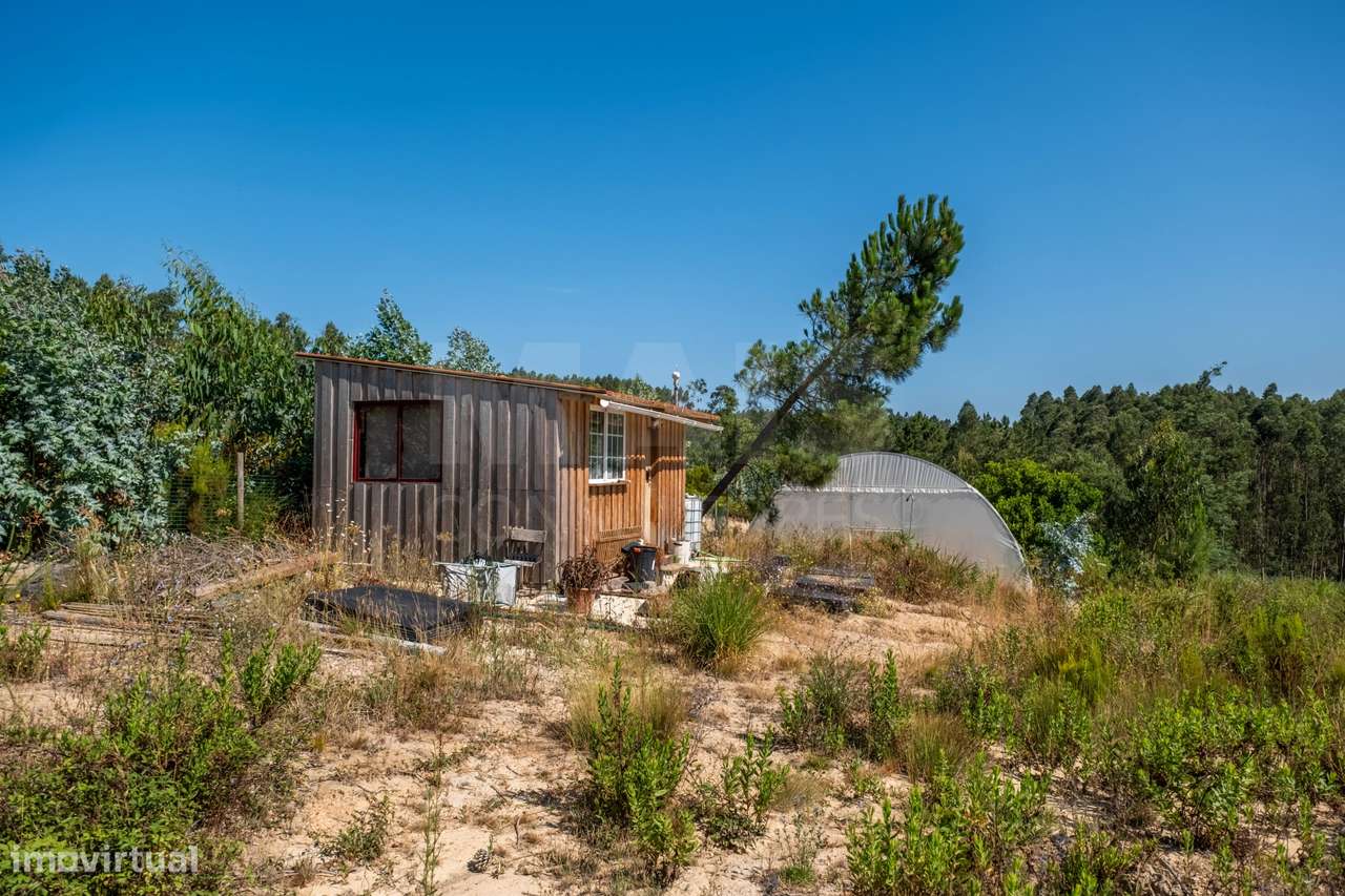Terreno Agrícola na Fanadia | 16.100 m² de Potencial e Infraestrutu...-30