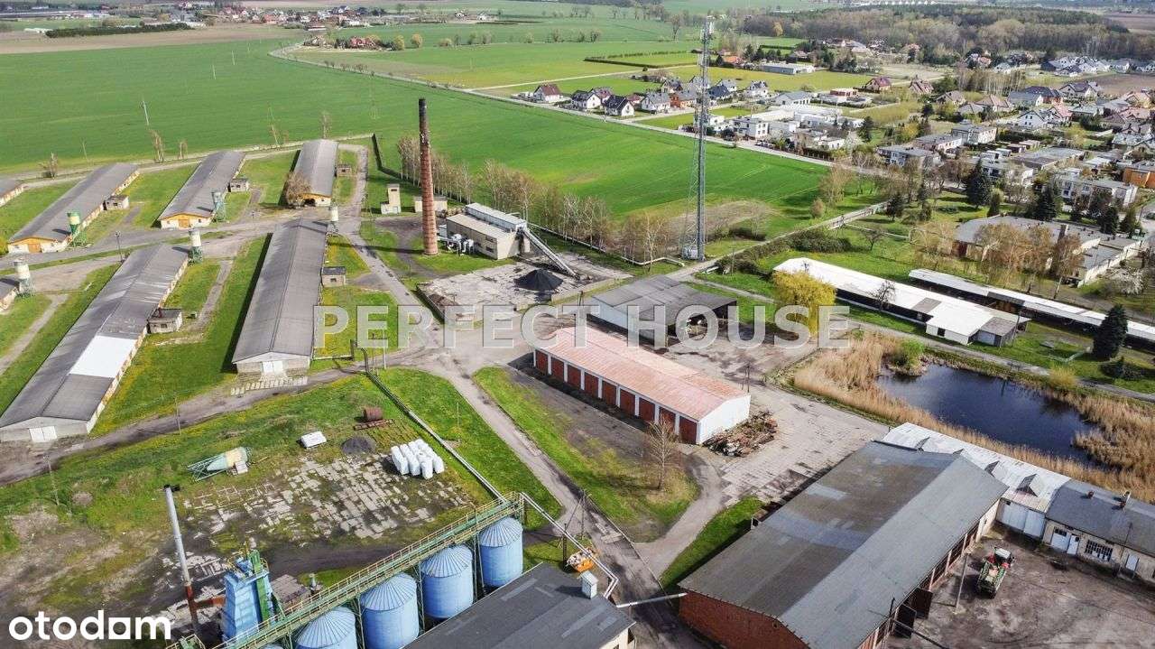 Ferma drobiu, działka 6,8 ha - Pełny obrazek: 4/17