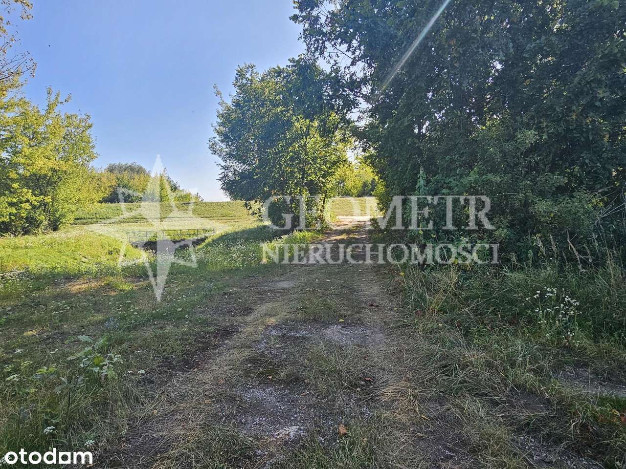 zielona piękna zaciszna - Pełny obrazek: 4/7