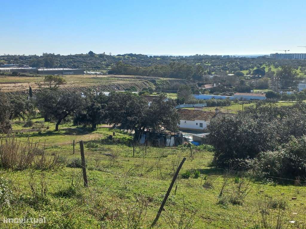 Terreno - quinta, Investimento, 12 hectares e 844 m2 edificados, Évora - Grande imagem: 5/30