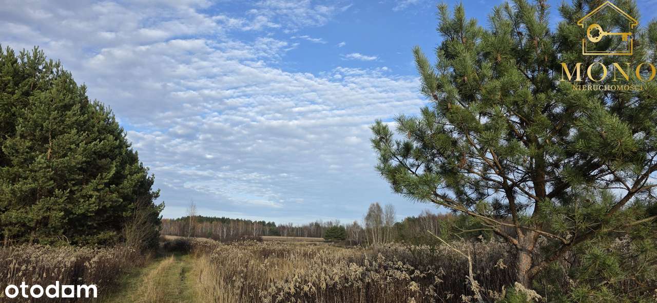 Działka 1 ha gmina Busko-Zdrój. - Pełny obrazek: 4/10