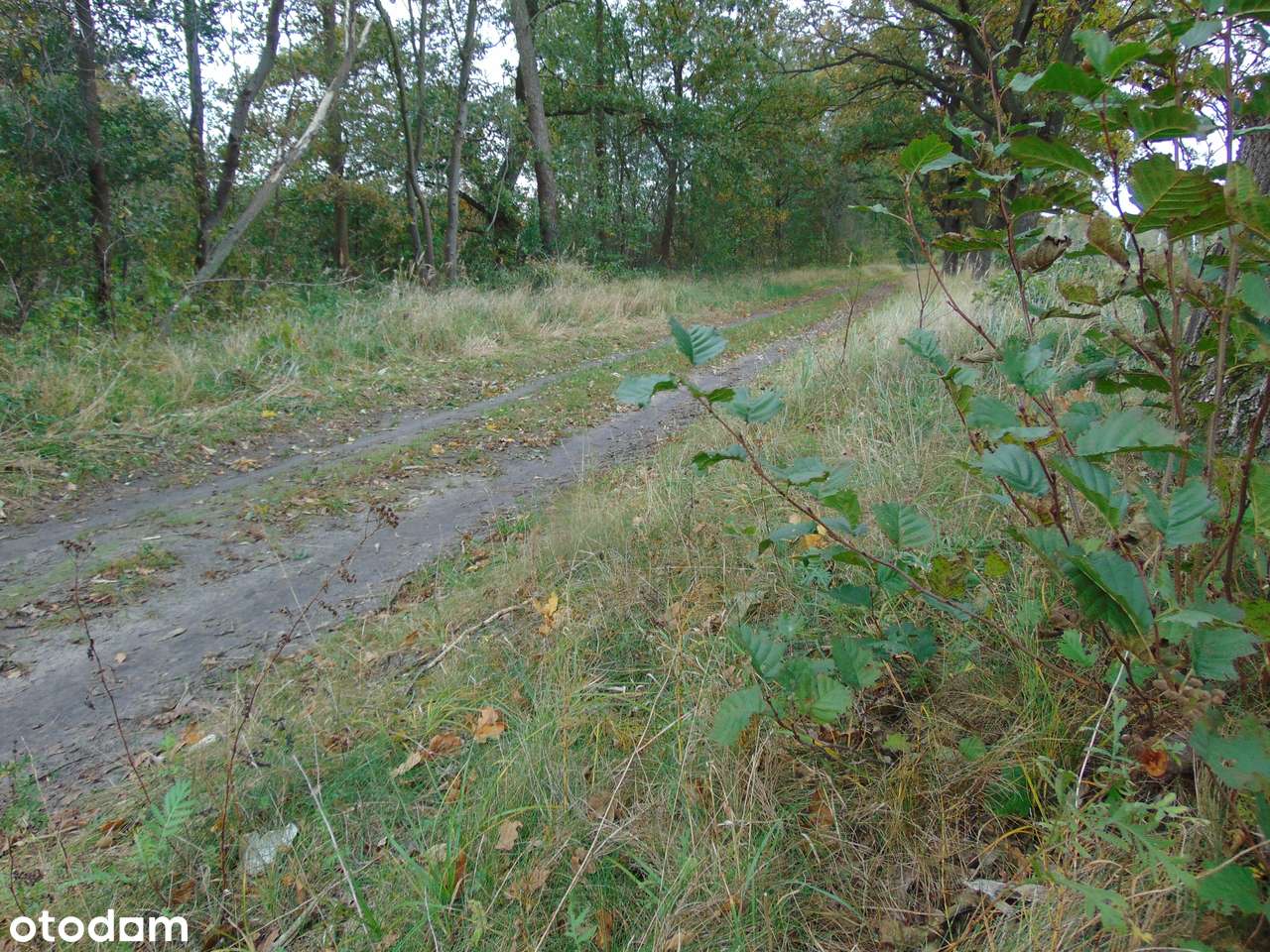 Działka usługowo-inwestycyj. 4,7 ha w Zielonej Górze (także s. paliw)-5