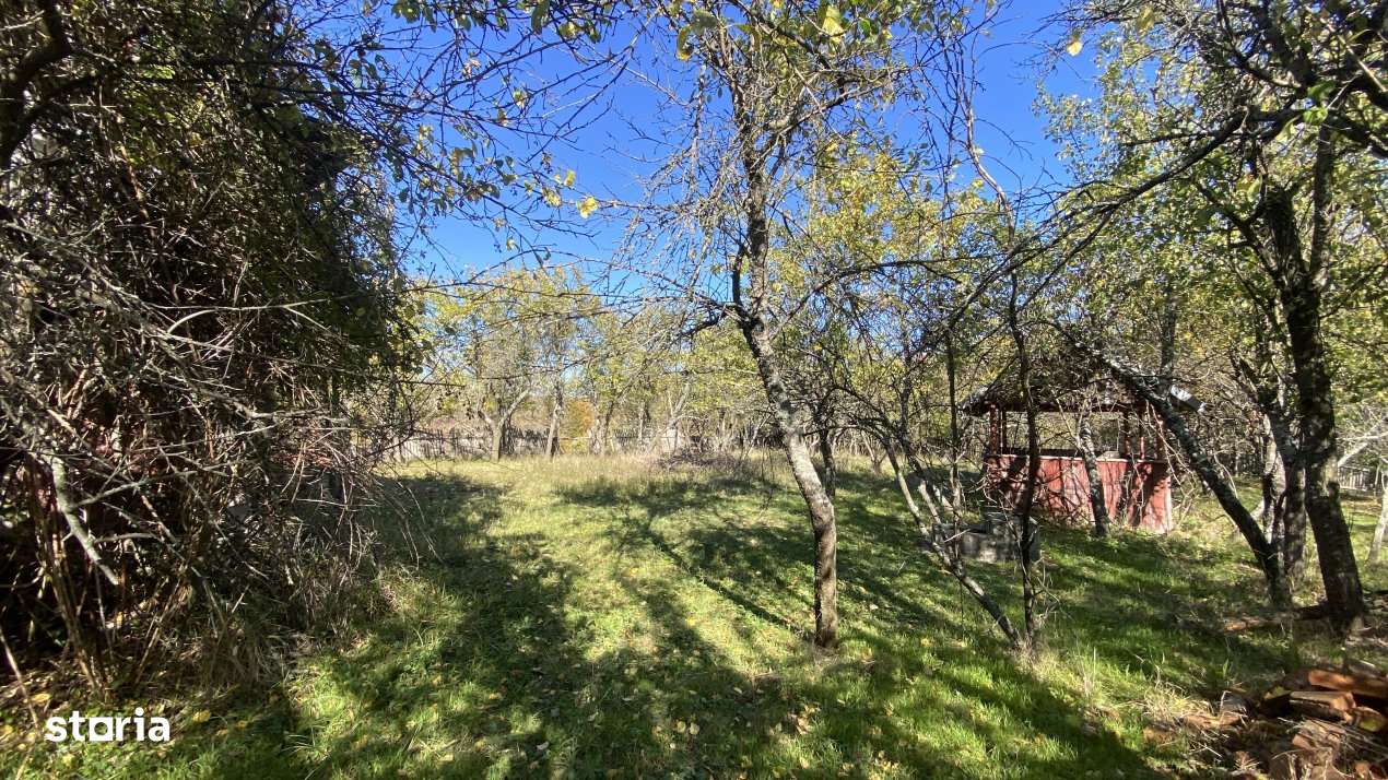 Casa+teren 2713 mp in loc. Babana, jud. Arges. Comision 0% - Imagine principală: 5/7