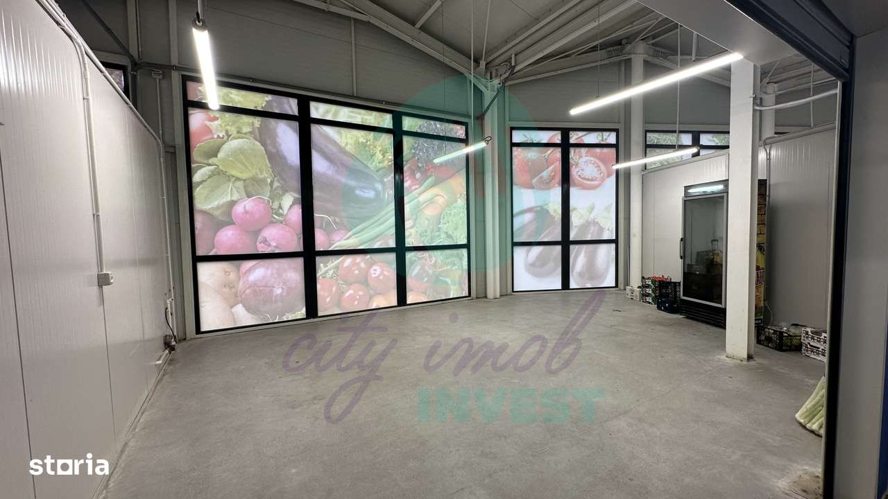 Spatii comerciale de inchiriat in PIATA DELFINULUI - Imagine principală: 4/8