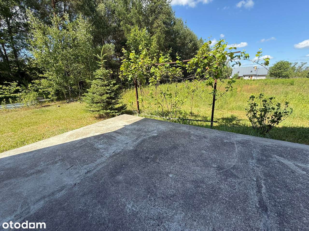 Dom przy lesie -  nad jeziorem Białe-7