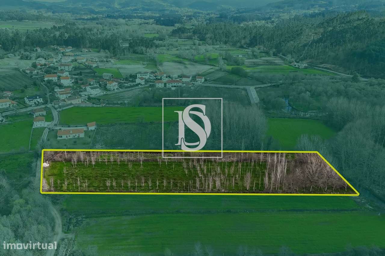 Terreno Agrícola para venda em Ponte de Lima! - Grande imagem: 5/19