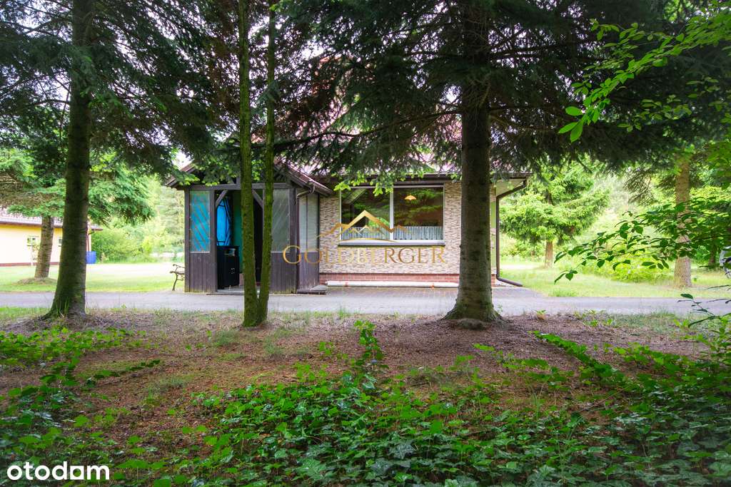 Dom z działką 1900m² w otoczeniu natury | Annogóra - Pełny obrazek: 5/20