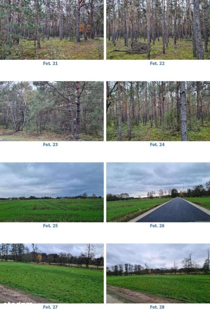 Sprzedaż z wolnej ręki - dom z gruntami rolnymi - Pełny obrazek: 5/5