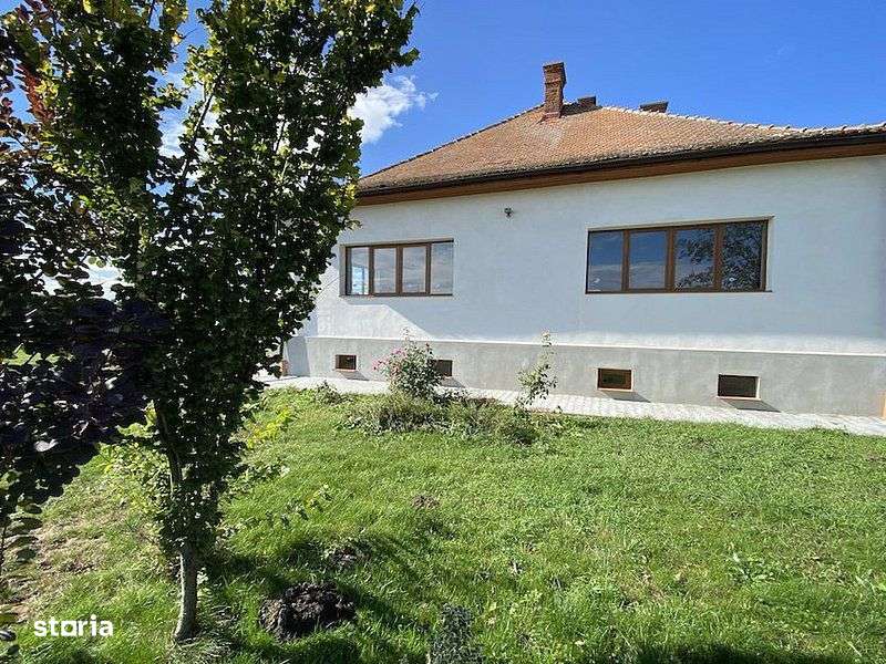Domeniu de 9000 mp - Ideal pentru Dezvoltare Imobiliară sau Business d - Imagine principală: 4/14
