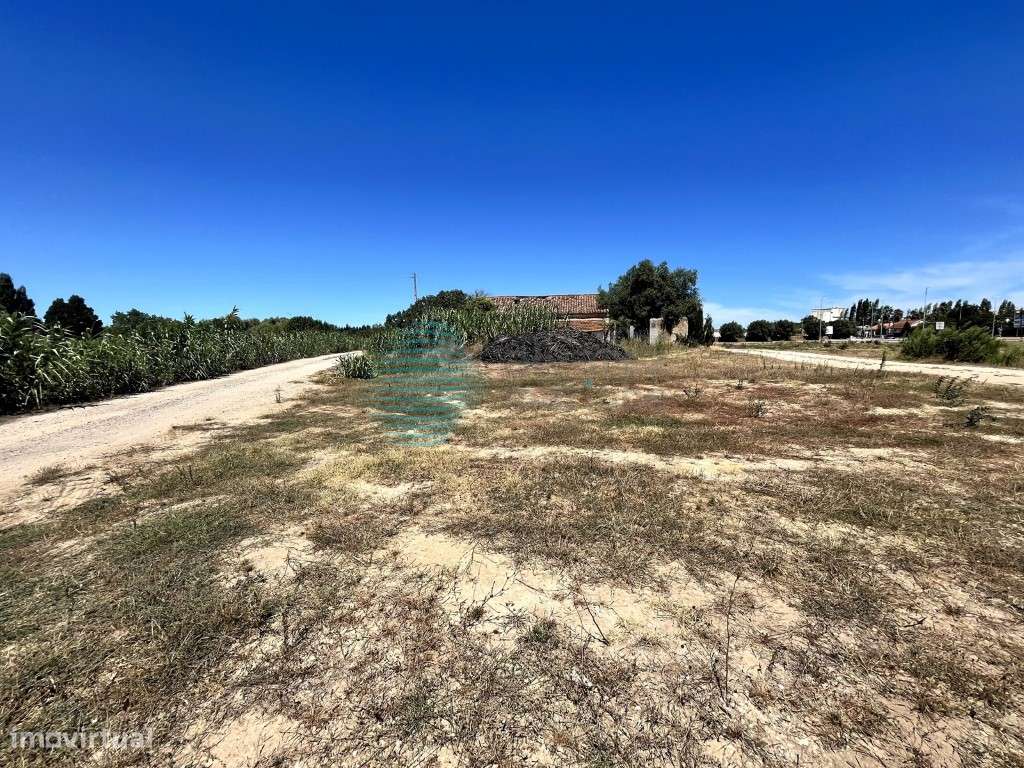 Terreno, em Rio Maior - Grande imagem: 3/11