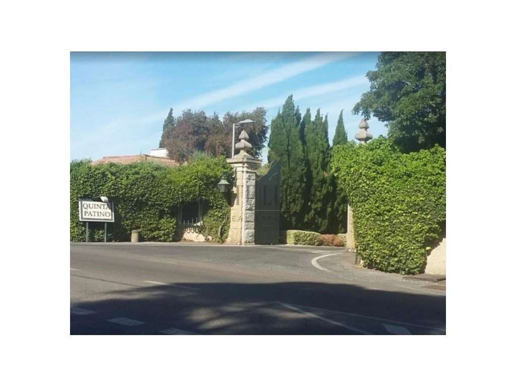 Moradia T6 contemporânea na Quinta do Patino - Grande imagem: 4/4