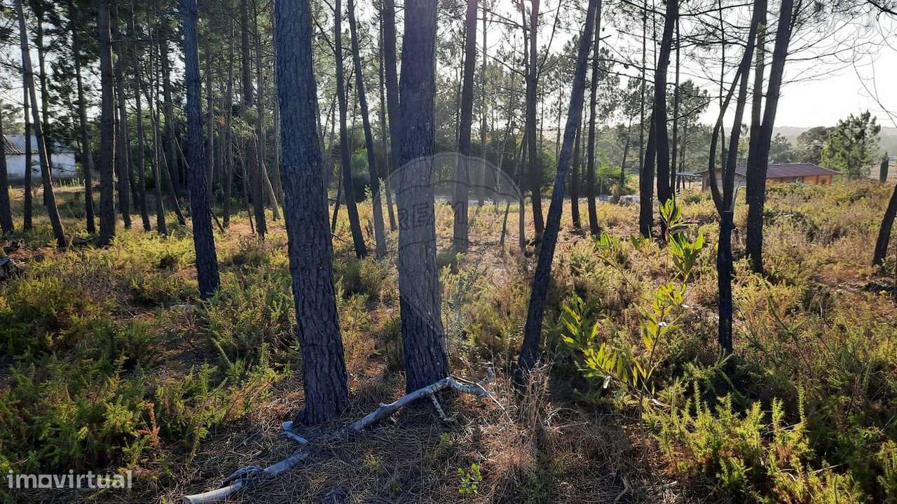 Terreno  para venda - Grande imagem: 5/9