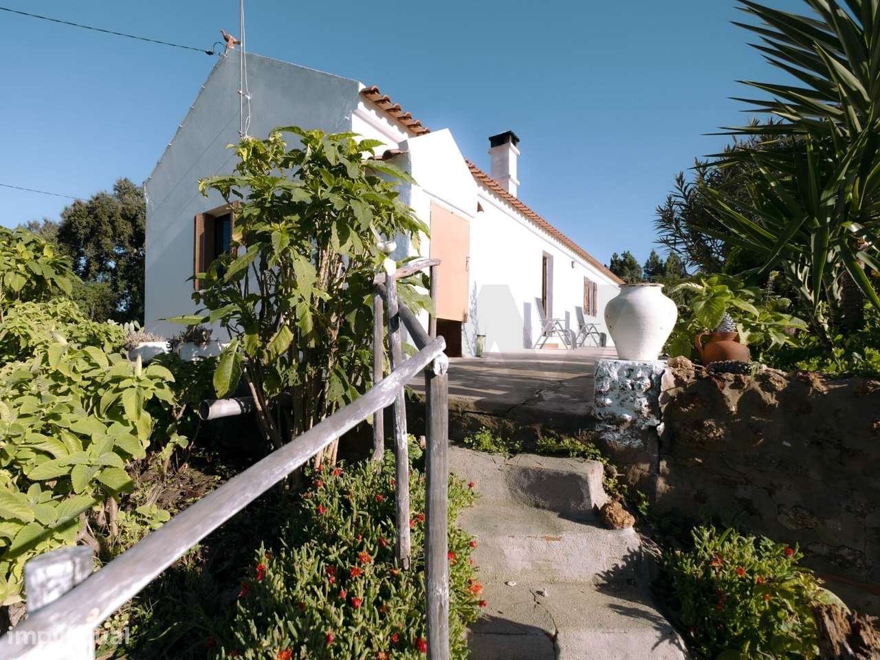 MONTE FORINHO – Monte Alentejano, Arealão - Abela, Santiago do Cacém - Grande imagem: 4/32