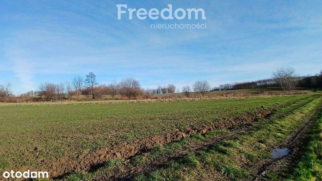 Działki inwestycyjne 43,76a – Rzeszów Słocina - Pełny obrazek: 3/8