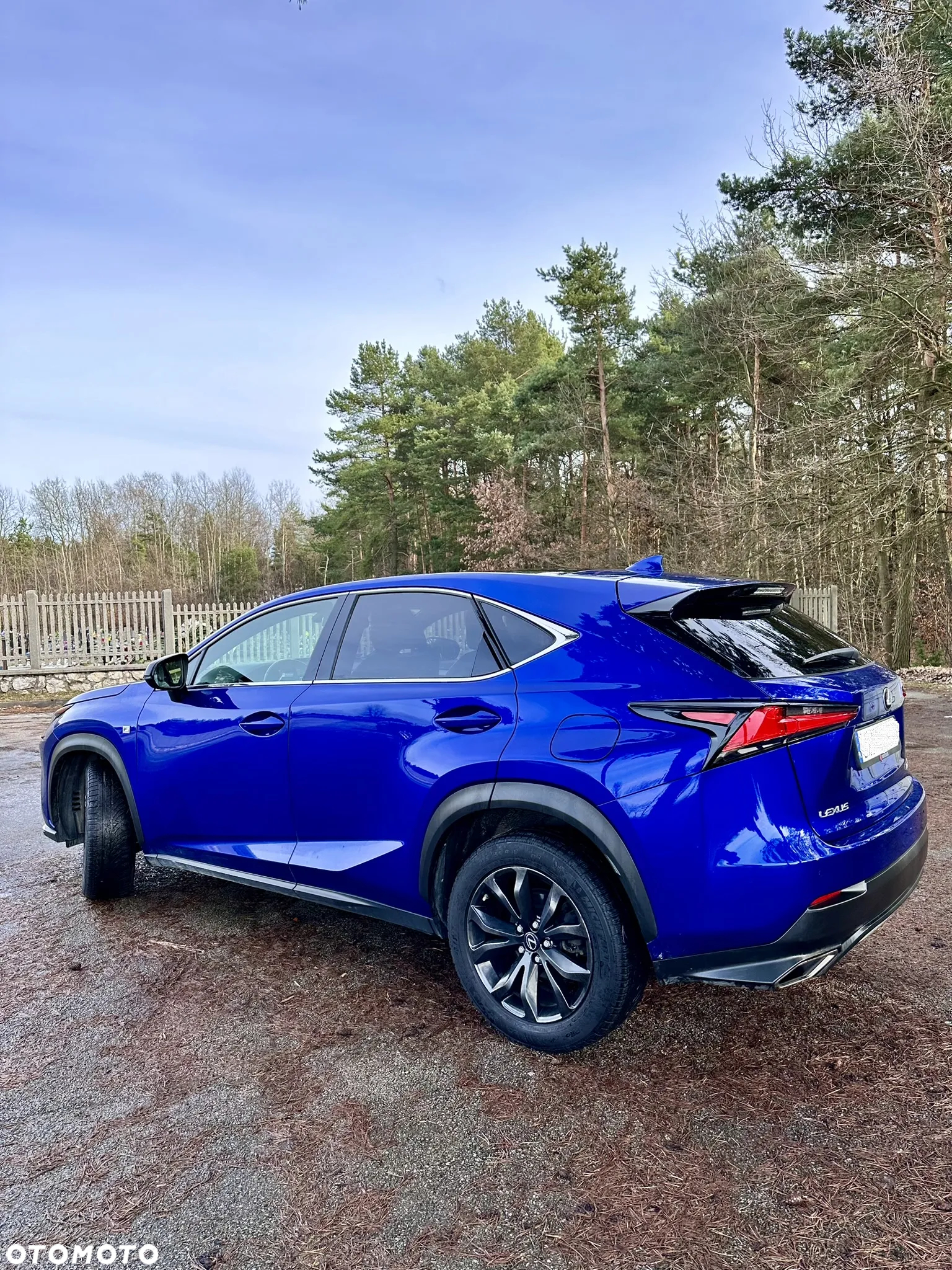 Lexus NX 300 F Sport AWD - 15