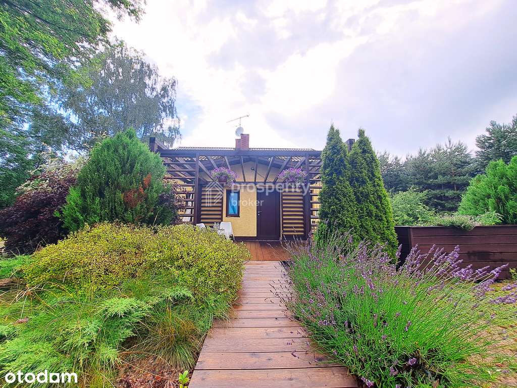 Działka inwestycyjna 4800 m2 z domem BEZ PROWIZJI-2