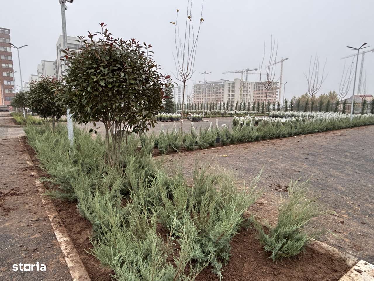 2 camere – parc privat, comision 0%, TVA INCLUS-7