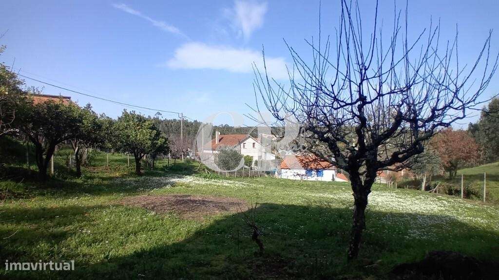 Moradia em pedra em Figueiró dos Vinhos com terreno e poço de água-38