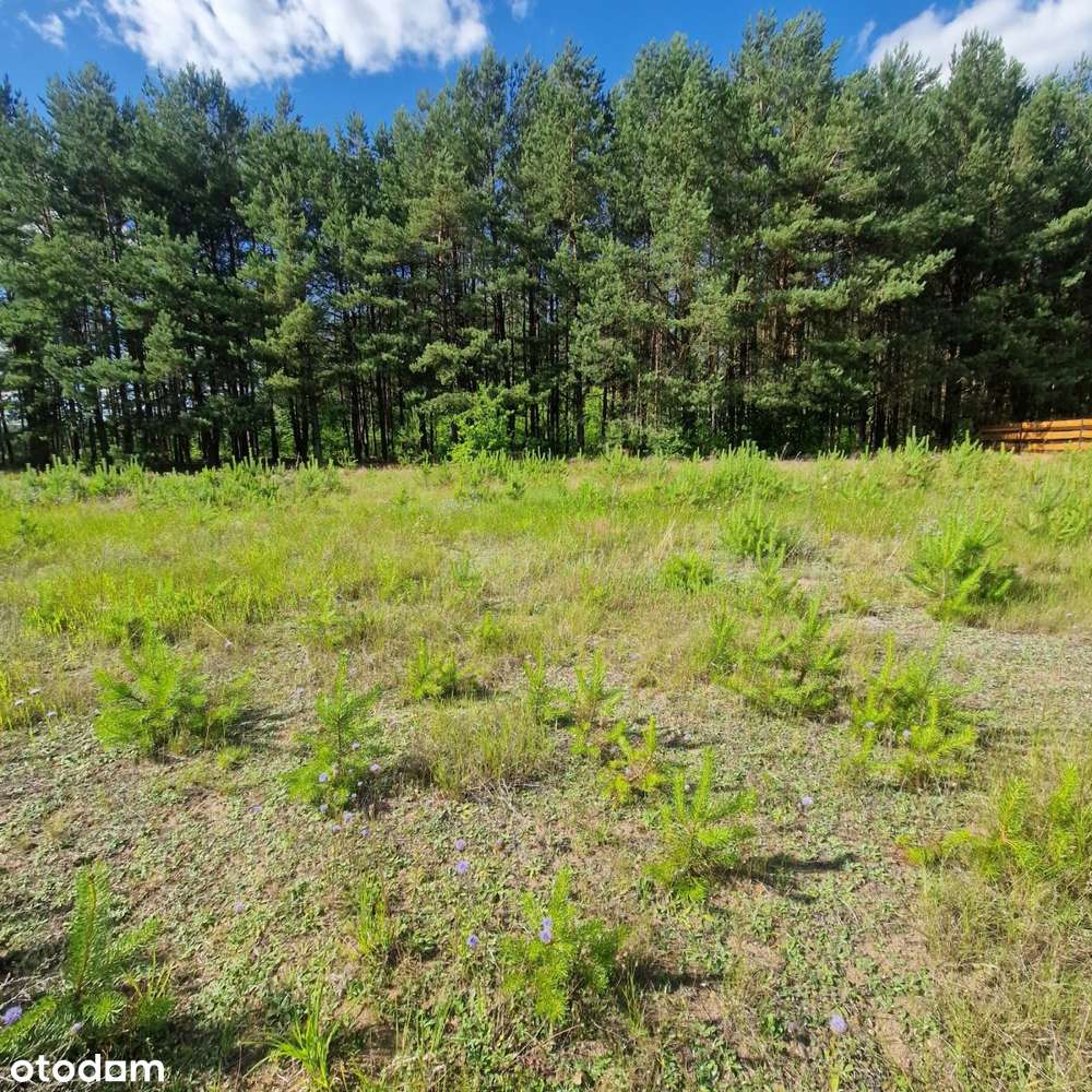 Działka budowlana, Macharce, Płaska, jezioro Serwy - Pełny obrazek: 5/17