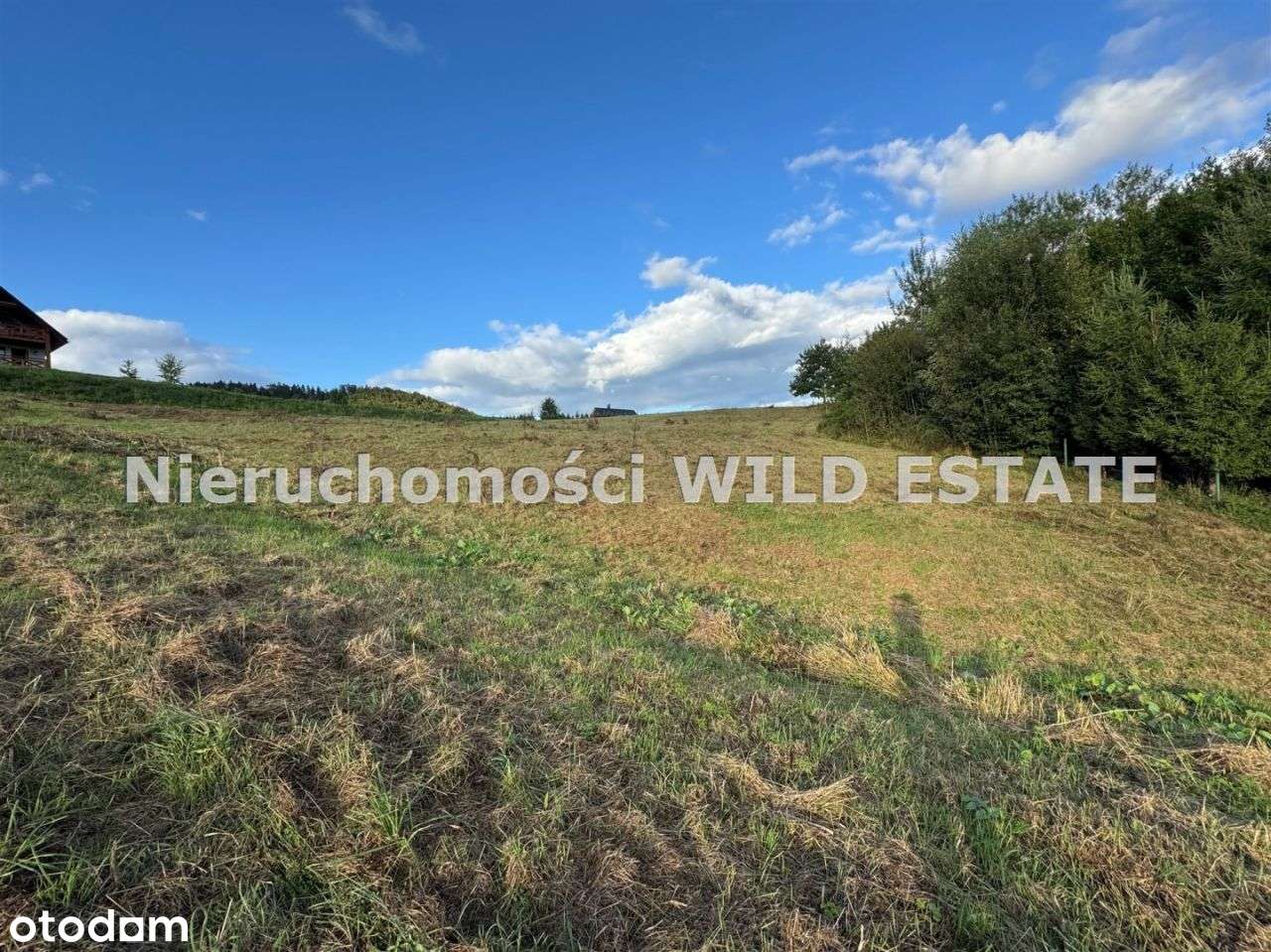 Działka, 7 000 m², Bukowiec - Pełny obrazek: 4/11