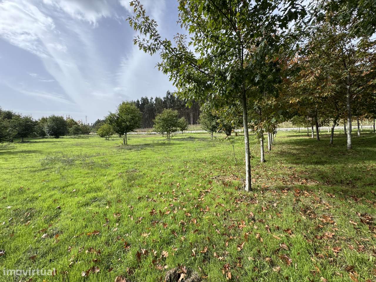 Moradia, 140 m², Molelos-51