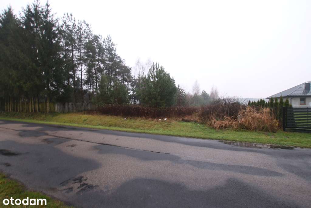 Działka rolno-budowlana 1,52 ha Dąbrowa gm. Ludwin - Pełny obrazek: 4/12