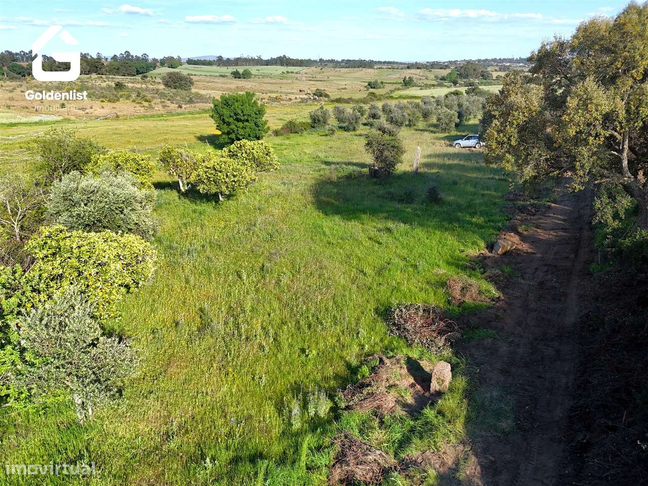 Quintinha  Venda em Escalos de Cima e Lousa,Castelo Branco-9