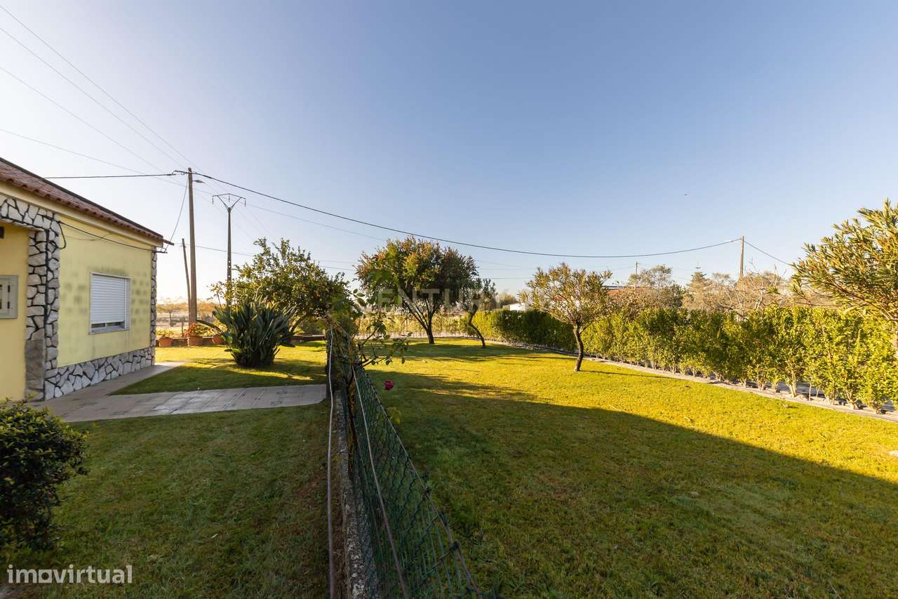 Quinta T4 com 1,4 Hectares: O Refúgio Perfeito entre a Cidade e a Natu - Grande imagem: 2/31