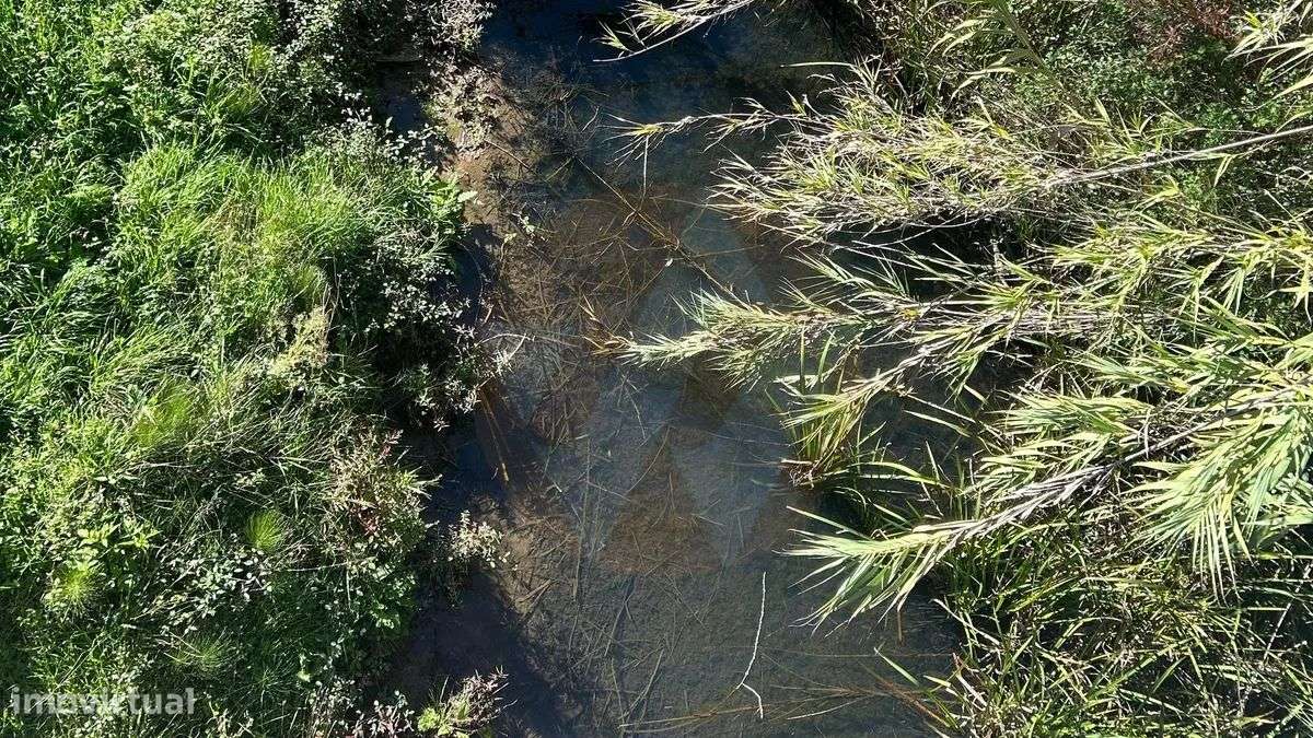 Terreno rústico Alfambras - Grande imagem: 4/6