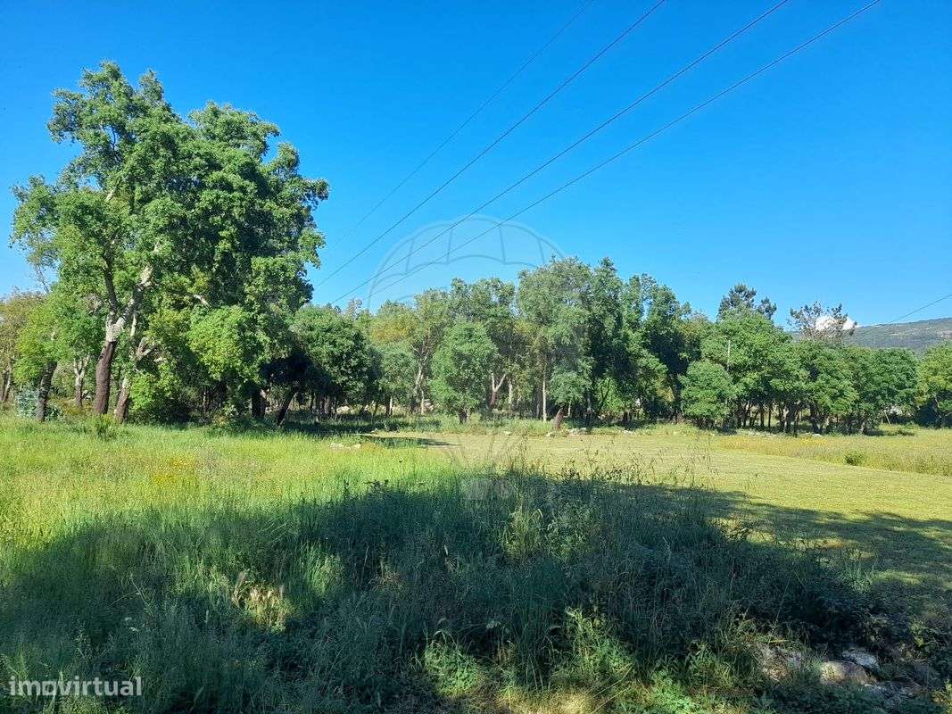 Terreno  para venda - Grande imagem: 4/10