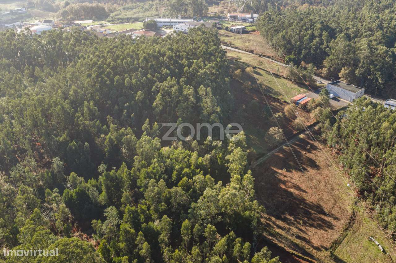 Terreno Rústico com 3.930 m2 na Carvalhosa, Paços de Ferreira - Grande imagem: 4/15