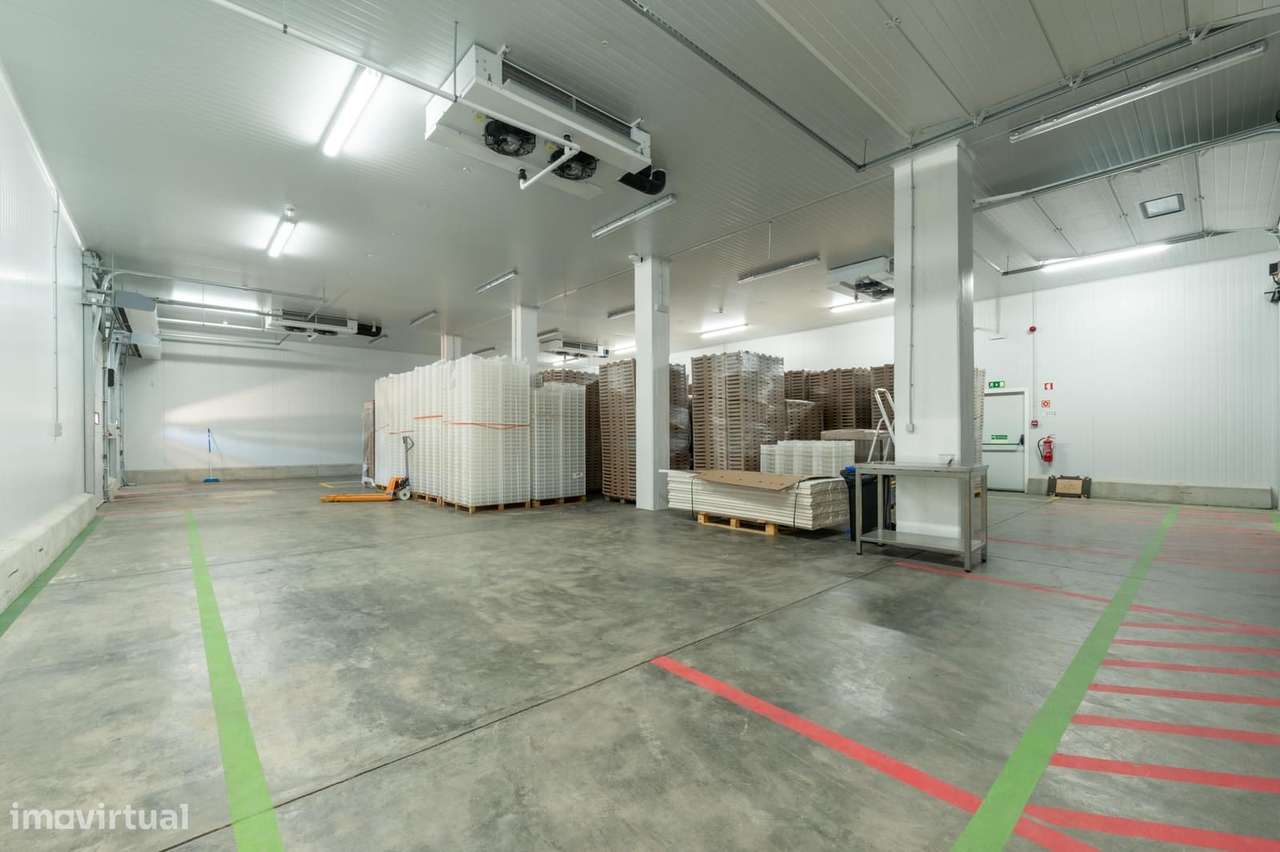 Armazém, Álcacer do Sal, Alcacer do Sal - Grande imagem: 5/20