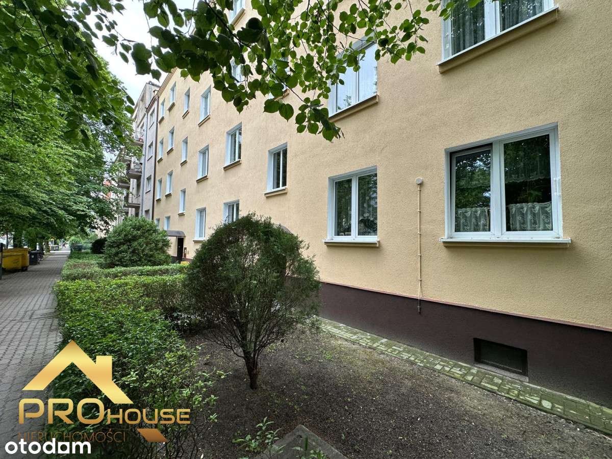 Słowackiego, 42 m2, ogródek, Park Miejski-14