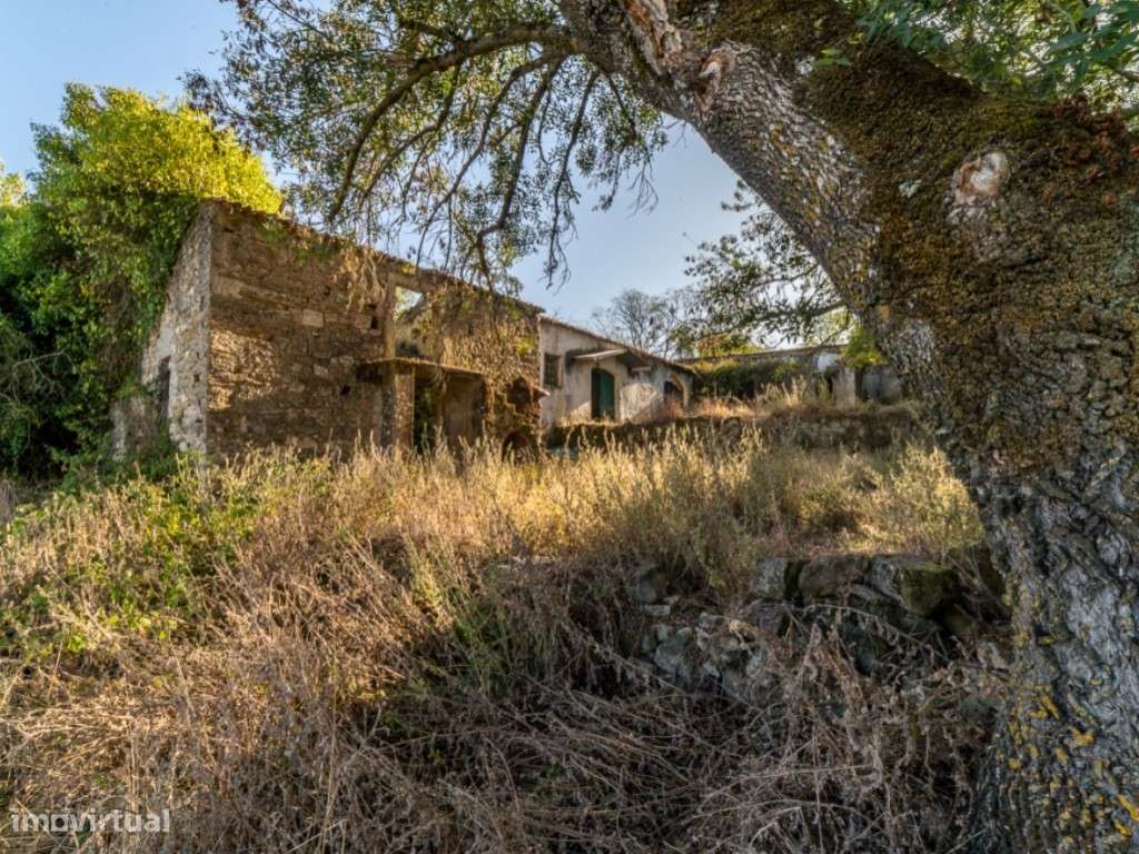 Quinta - Freiria - Sobral Monte Agraço-15