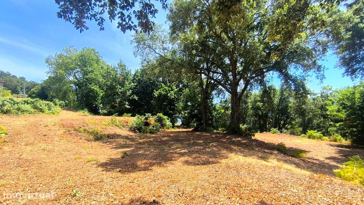 Quinta com 19000 m2 nas margens do Douro-18