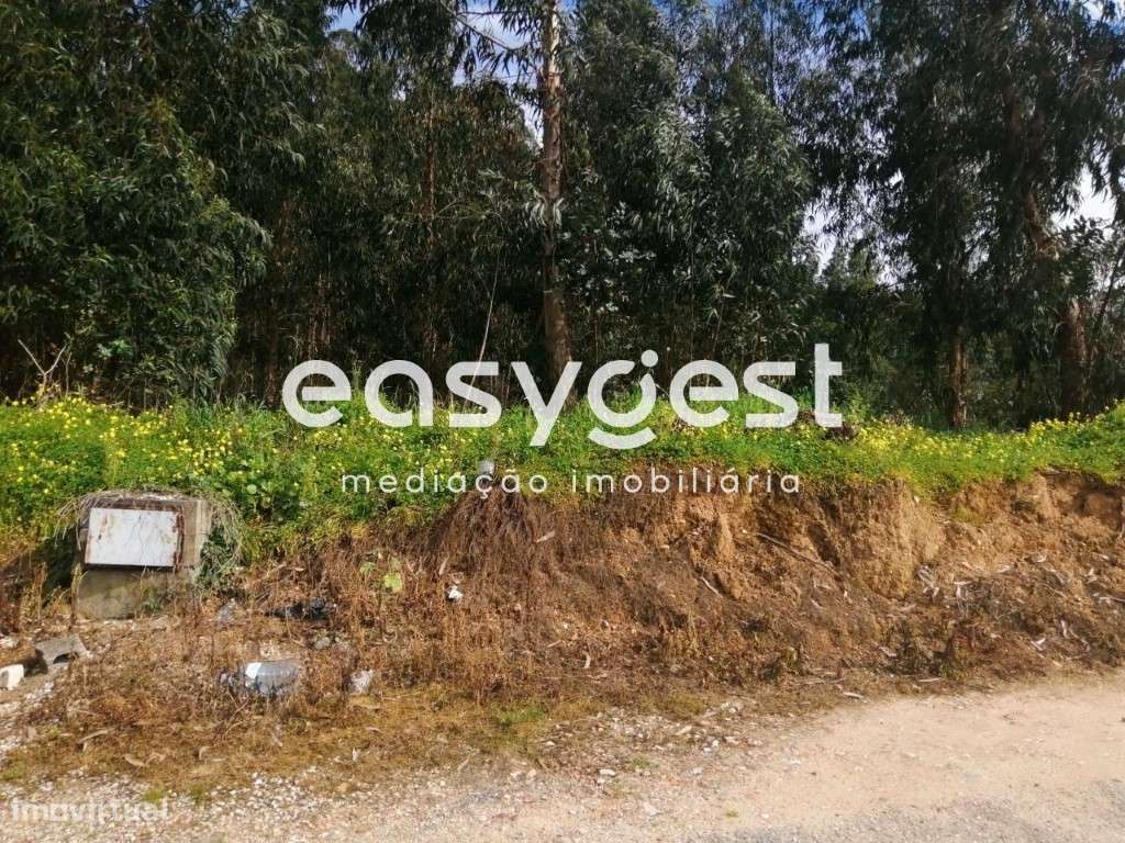 Terreno Rústico com 15812m2 com possibilidade de construção em Taveiro - Grande imagem: 2/17