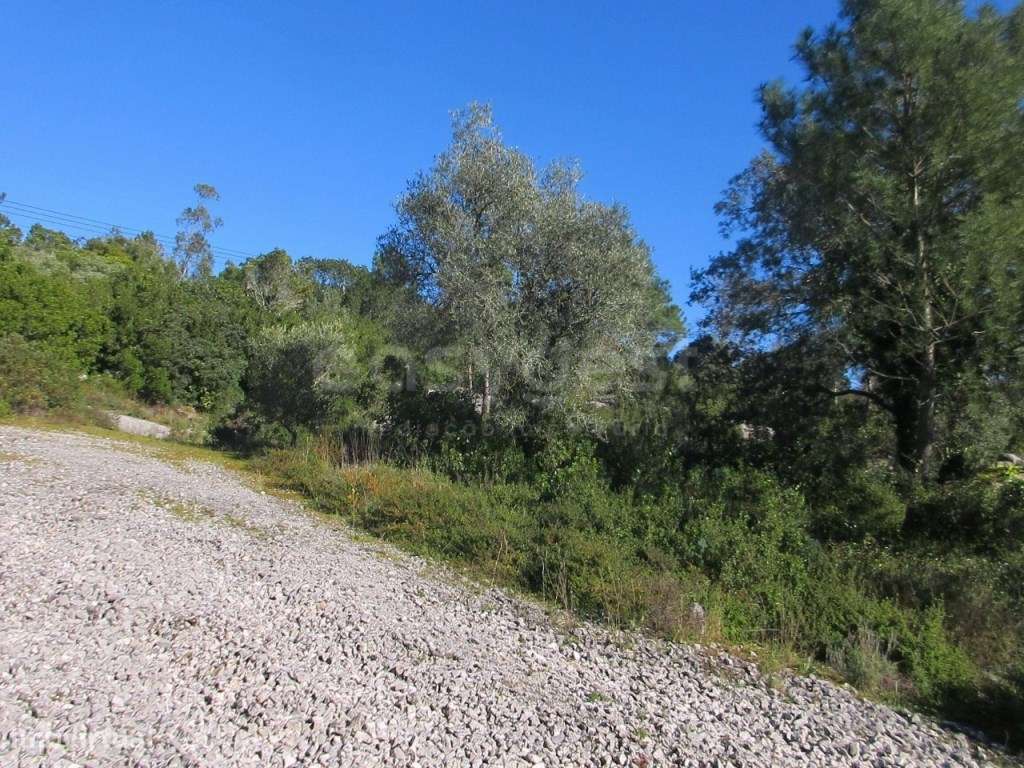 Terreno Urbano de 3244m² em Mira de Aire - Uma excelente opção para... - Grande imagem: 4/18