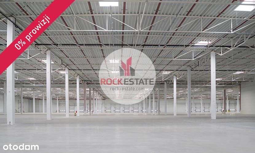 Magazyn 2400m2 od zaraz - 0% prowizji - Pełny obrazek: 4/7
