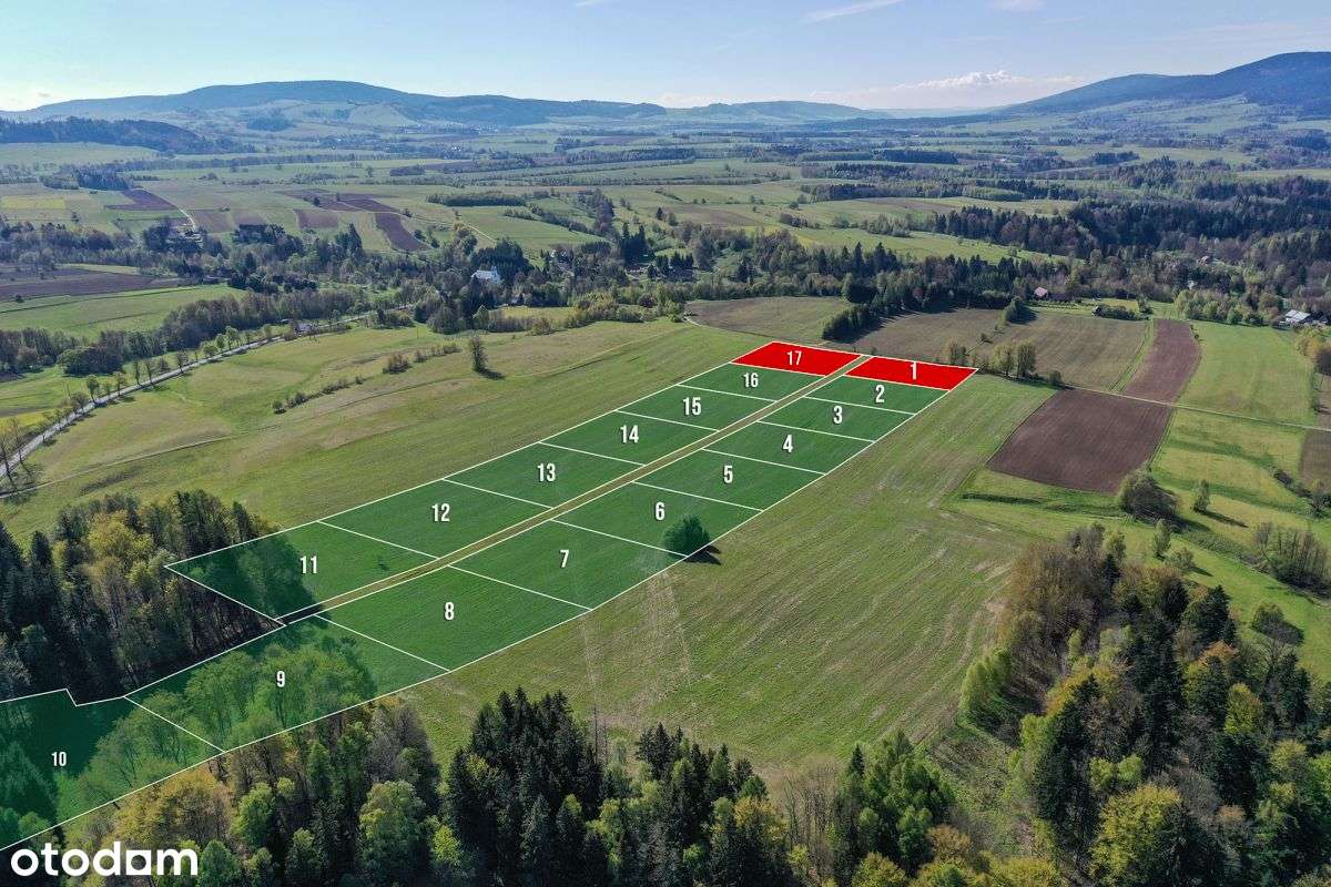 Działki widokowe w gminie Międzylesie / 3000 mkw.-3