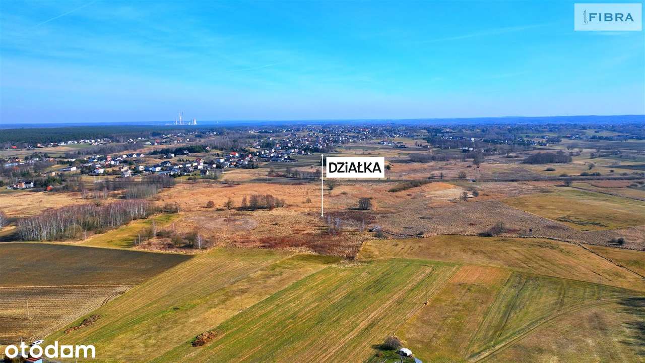 Urodzajna ziemia - mady brunatne. - Pełny obrazek: 3/20