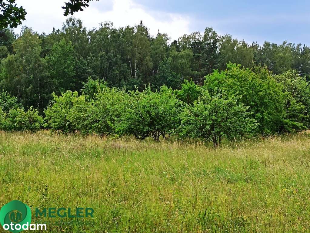 Działka niedaleko lasu-1