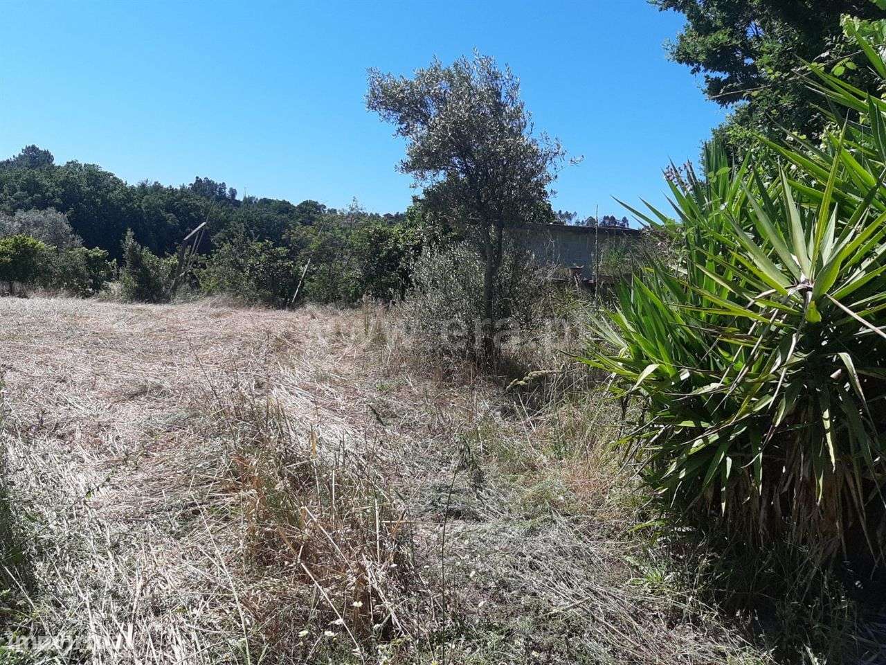 Terreno agrícola com 3.600 m2 em Cabeceiras de Basto - Grande imagem: 3/4